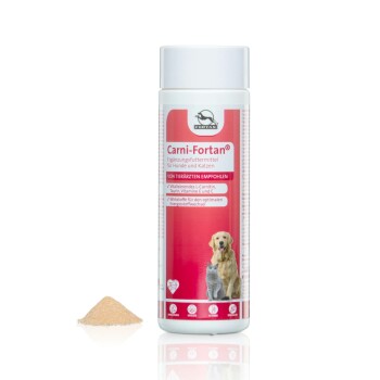 Carni-Fortan Ergänzung für Hunde und Katzen in einer weißen Flasche mit rotem Etikett, mit einem Golden Retriever und einer Katze, mit einem Haufen Pulver daneben.