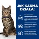 Kot pręgowany z niebieską obrożą siedzi pewnie, obok tekstu szczegółowo opisującego, jak działa karma dla kotów, w tym korzyści dla utraty wagi i wykorzystania energii.