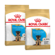 Deux sacs de nourriture pour chiots Royal Canin pour Bergers allemands, présentant une image de chiot et un texte indiquant l'adéquation pour les chiens jusqu'à 15 mois.