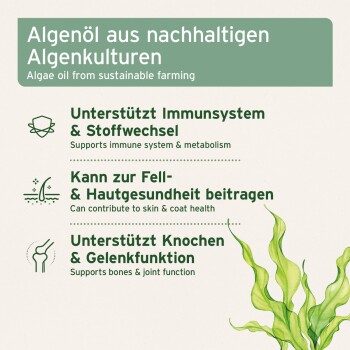Etikett: 'Algenöl aus nachhaltigen Algenkulturen / Algae oil (sustainable)' — unterstützt Immunsystem, Haut & Fell, Knochen & Gelenke.