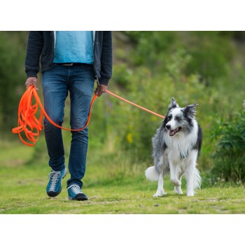 Eine Person, die einen glücklichen, flauschigen Border Collie an einer leuchtend orangefarbenen Leine in einer grünen Umgebung führt.