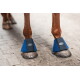 Vordere Pferdehufe in blauen Bell Boots mit schwarzen Riemen und ovalem 'EQUINATE'-Logo auf gefliestem Boden