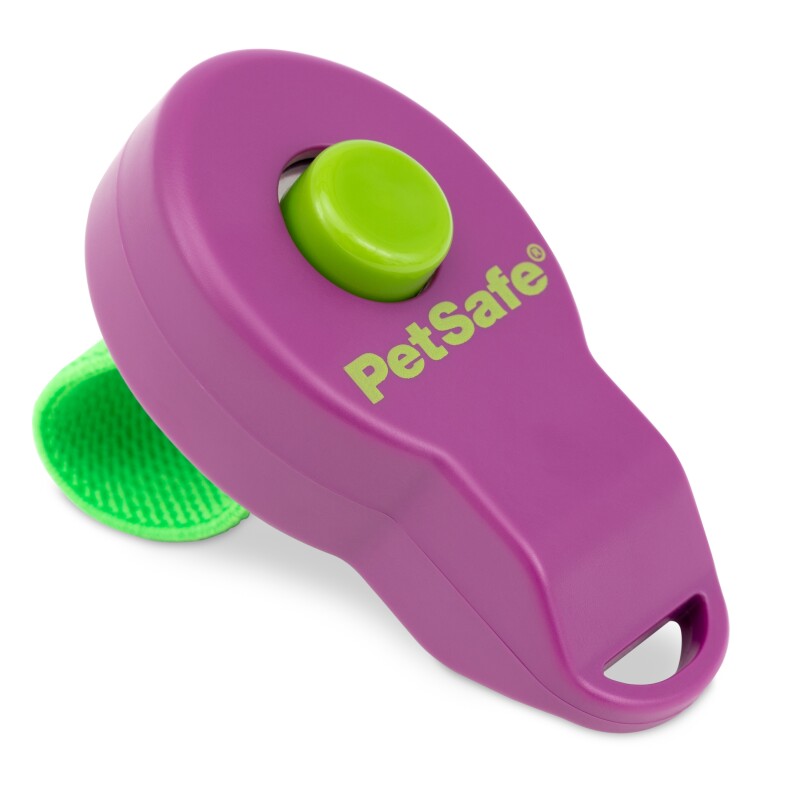 PetSafe Klicker Zur Hundeerziehung Clik-R