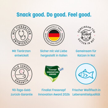 Sechs hypoallergene Snack‑Dosen von KatKare auf einer Küchenarbeitsplatte mit Überschrift „6 Unwiderstehliche Sorten“ und Geschmackssymbolen.