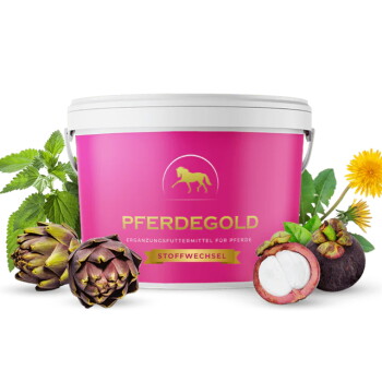 Ein pinkfarbener Behälter mit der Aufschrift "PFERDEGOLD" und dem Untertitel "Ergänzungsfuttermittel für Pferde", umgeben von Artischocken, Minzblättern und Löwenzahn.
