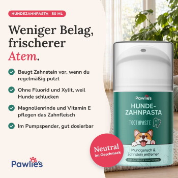Bild zur Förderung der Zahngesundheit von Haustieren mit einem Hund und einer Katze. Hebt die Vorteile von sauberen Zähnen und frischem Atem sowie Probleme wie Plaque hervor.