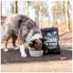 Braun-weißer Hund frisst aus einer gemusterten Schüssel in einer Waldlandschaft neben einem schwarzen Hundefutterbeutel mit der Aufschrift 'Tales & Tails Lamm'.
