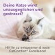 Un chat fluffy de couleur claire avec des yeux bleus se toilettant la patte sur une couverture rose. Texte : "Votre chat est-il stressé ? Aidez-le à se détendre avec CatComfort® Excellence !"