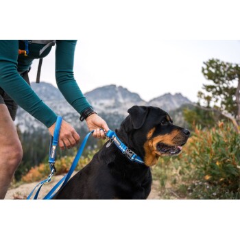 Eine Person in einem türkisfarbenen Langarmshirt befestigt eine blaue Leine am Halsband eines Rottweilers in einer bergigen Umgebung.