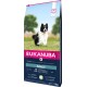 Sac de nourriture sèche premium pour chien Eukanuba présentant un chien noir et blanc heureux courant dans un champ herbeux, étiqueté pour les races adultes petites et moyennes.