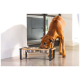 Ein brauner Hund frisst aus einer stilvollen erhöhten Futterschüssel für Haustiere mit zwei Edelstahlschalen, die in einem modernen Innenraum platziert ist.