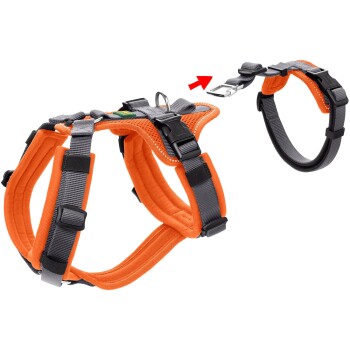 Oranges Haustiergeschirr mit verstellbaren Riemen und einem Metall-D-Ring zur Leinenbefestigung, mit einer Schnellverschluss-Schnalle.