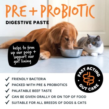 Hund und Katze neben einer Schüssel auf einer Anzeige mit dem Text 'PRE + PROBIOTIC VERDAUUNGSPASTE' und Abzeichen 'Schnell wirkende Darmpflege'