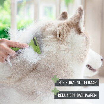 Eine Person verwendet ein grünes Pflegewerkzeug an einem flauschigen Hund, mit dem Text "Für kurz-mittelhaar" und "Reduziert das Haaren."