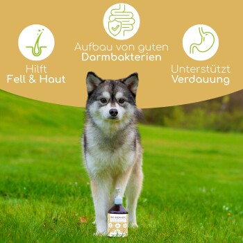 Eine Box mit biologischen Haustierergänzungen, einschließlich eines gelben "BIO Bierhefe"-Behälters, einer braunen Glasflasche und einer Tropfflasche.