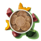 Schüssel mit runden Haustierfutter-Patties, umgeben von Stücken rohem Fleisch, Kürbis und Brokkoli auf grünem Hintergrund.