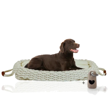 Ein brauner Labrador Retriever liegt bequem auf einem gemütlichen, gewebten Haustierbett mit einem cremefarbenen Kissen, neben einem beigen Haustierzubehör.