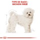 Illustration d'un chien Bichon Frisé, fluffy et blanc, avec un contour de mesure, étiqueté "TYPE DE RACE : BICHON FRISÉ" en haut.