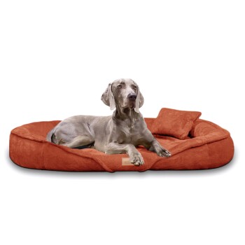 ® XENIA - Orthopädisches Hundebett / Hundesofa terracotta 1,75 m, 20 cm, 1,15 m