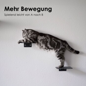 Eine graue getigerte Katze streckt sich über zwei wandmontierte Regale, mit dem Text "Mehr Bewegung" und "Spielend leicht von A nach B" darüber.