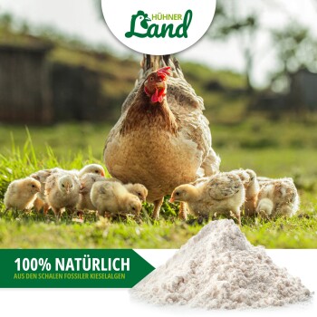 Eine Henne und Küken suchen auf grünem Gras nach Nahrung in der Nähe eines Haufens weißem Pulver, beschriftet mit "100% NATÜRLICH AUS DEN SCHALEN FOSSILER KIESELALEGEN."