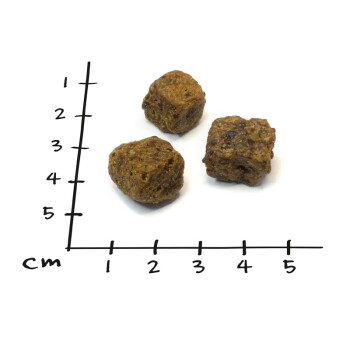 Drei braune, würfelförmige Haustierfutterstücke auf einem weißen Hintergrund, mit einem Linealmaß, das die Größe in Zentimetern angibt.