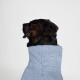 Ein Hund mit braunem und schwarzem Fell wird von hinten gesehen, eingewickelt in ein weiches blaues Handtuch vor einem schlichten weißen Hintergrund.