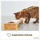 Eine getigerte Katze frisst aus einem hölzernen Futterspender mit drei weißen Schalen, mit dem Text "Angenehme Haltung" und dem Markenlogo "piupet."