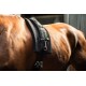 Nahaufnahme eines braunen Pferdes, das ein schwarzes Equinate-Geschirr trägt, mit Metallclips und Riemen für eine sichere Befestigung.