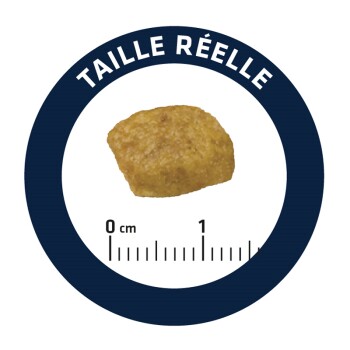 Gros plan d'un seul morceau de nourriture pour animaux, avec une règle indiquant sa taille réelle, étiqueté "TAILLE RÉELLE."