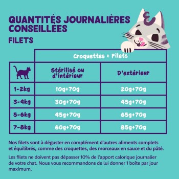 Tableau des recommandations alimentaires quotidiennes pour les chats stérilisés, d'intérieur et d'extérieur, avec une illustration de chat en dessin animé.