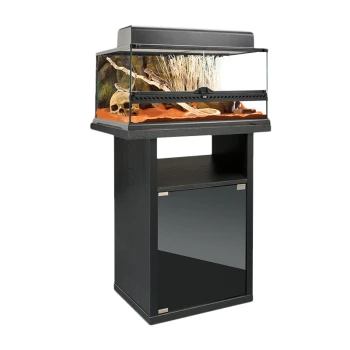 Ein modernes Aquarium mit einem schwarzen Ständer, das ein Glaskäfig mit dekorativen Steinen, Pflanzen und einem Schädelornament enthält.