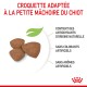 Croquettes adaptées à la petite mâchoire du chiot, avec des antioxydants naturels, sans colorants ni arômes artificiels.