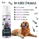Eine Flasche Bugalugs No Rinse Lavendel- & Kamillenshampoo neben einem Golden Retriever, mit Text, der die Vorteile hervorhebt.