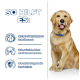 Golden Retriever vor einem blauen Hintergrund, mit Text über Gelenkgesundheit, schlanke Muskulatur und Unterstützung des Immunsystems.