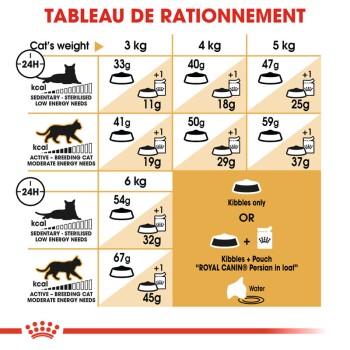 Chat Persan Adulte 400 g