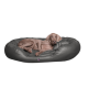 Großer grauer Hund liegt auf einem schwarzen gepolsterten Haustierbett mit einem kleinen Etikett vorne.