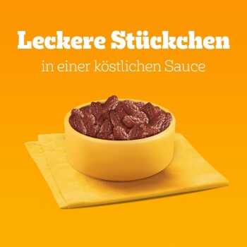 Schüssel mit Haustierleckerlis in einer herzhaften Sauce, auf einer gelben Serviette platziert, mit dem Text "Leckere Stückchen in einer köstlichen Sauce" darüber.