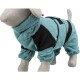 Ein Schaufensterhund, der in einem türkis- und schwarzen Haustieroutfit gekleidet ist, mit einem gemütlichen Design mit langen Ärmeln und Hosen.
