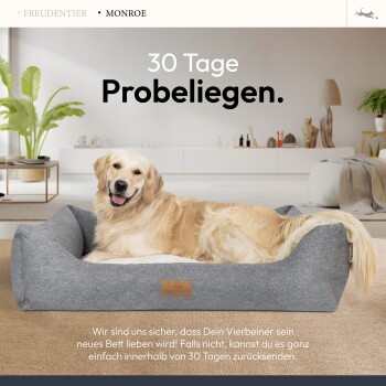 Ein Golden Retriever entspannt sich auf einem grauen Haustierbett in einem schicken Wohnzimmer mit Informationen über eine 30-tägige Rückgabepolitik.