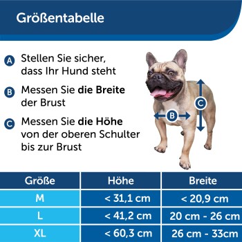 Größentabelle für Hunde mit Anweisungen zum Messen der Brustbreite und Schulterhöhe, neben einem französischen Bulldoggenhund.