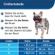 Haustierklappe für extremes Wetter L