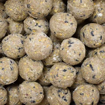 Meisenknödel Premium mit Insekten 200 x ca. 90 Gramm ohne Netz, Futter für Wildvögel, Fettfutter Vögel Eine Nahaufnahme von zahlreichen runden, strukturierten Hundefutterbällchen aus einer Mischung von Getreide und Samen, in einer hellbraunen Farbe mit schwarzen Sprenkeln.