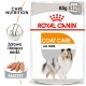 Opakowanie karmy dla zwierząt Royal Canin Coat Care, z sylwetką psa, z tekstem podkreślającym "Care Nutrition" i "All Sizes."