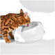 Bengalkatze leckt Wasser aus einem weißen automatischen Trinkbrunnen für Haustiere; Wasserwellen vor weißem Hintergrund.