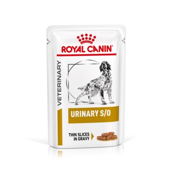 ROYAL CANIN ® Veterinary URINARY S/O Feine Stückchen in Soße Nassfutter für Hunde 12x100g