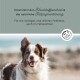 Ein glücklicher, braun-weißer Hund mit einem flauschigen Fell steht im Freien, mit einem Text, der die Unterstützung des Hautstoffwechsels und der natürlichen Fellpigmentierung fördert.