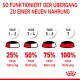 Infografik, die einen 7-tägigen Übergangsplan zu neuem Haustierfutter detailliert, mit schrittweisen prozentualen Erhöhungen von 25 % auf 100 % neuem Futter.