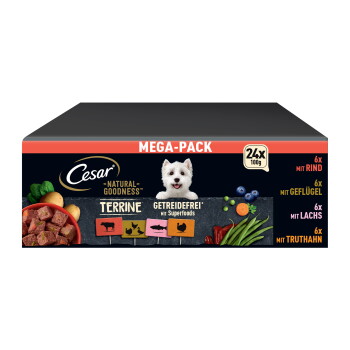 Cesar Mega-Pack Hundefutterbox mit Westie-Foto, der Aufschrift „MEGA-PACK“ und „24x 100g“, sowie den Begriffen „Terrine“ und „Getreidefrei“.