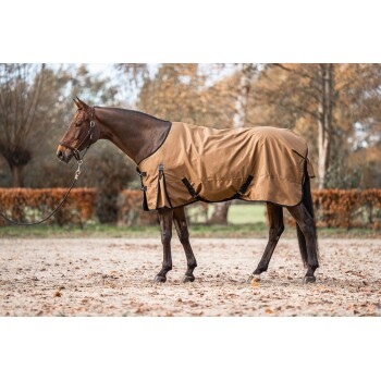 Ein braunes Pferd, das eine sandfarbene Decke trägt, steht auf einer sandigen Fläche, umgeben von herbstlichem Laub.